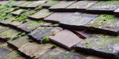 Kingston Blount roof repair costs